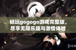 畅玩gogogo游戏完整版，尽享无限乐趣与激情体验