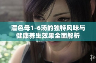 澧色母1-6汤的独特风味与健康养生效果全面解析