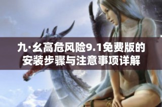 九·幺高危风险9.1免费版的安装步骤与注意事项详解