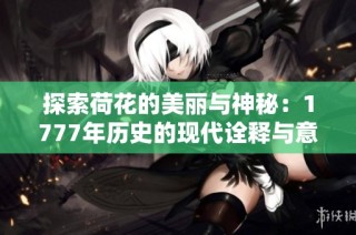 探索荷花的美丽与神秘：1777年历史的现代诠释与意义