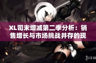 XL司末增减第二季分析：销售增长与市场挑战并存的现状