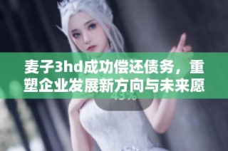 麦子3hd成功偿还债务，重塑企业发展新方向与未来愿景