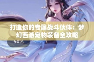 打造你的专属战斗伙伴：梦幻西游宠物装备全攻略
