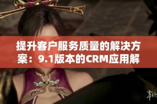 提升客户服务质量的解决方案：9.1版本的CRM应用解析