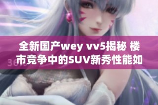 全新国产wey vv5揭秘 楼市竞争中的SUV新秀性能如何表现
