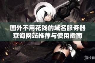 国外不用花钱的域名服务器查询网站推荐与使用指南