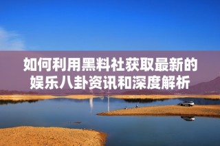 如何利用黑料社获取最新的娱乐八卦资讯和深度解析