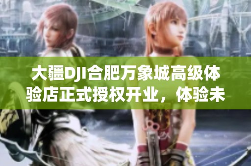 大疆DJI合肥万象城高级体验店正式授权开业，体验未来科技魅力