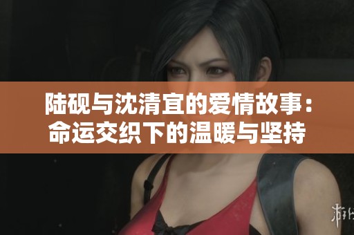 陆砚与沈清宜的爱情故事：命运交织下的温暖与坚持