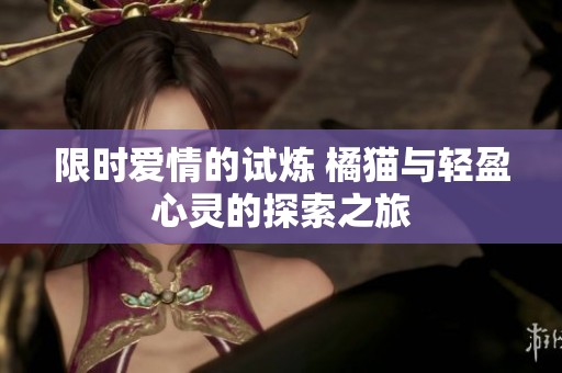 限时爱情的试炼 橘猫与轻盈心灵的探索之旅
