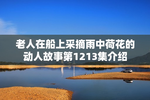 老人在船上采摘雨中荷花的动人故事第1213集介绍