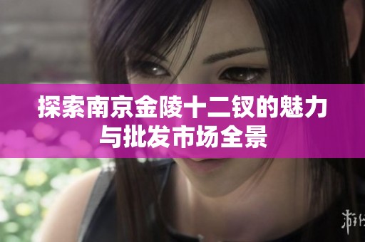 探索南京金陵十二钗的魅力与批发市场全景