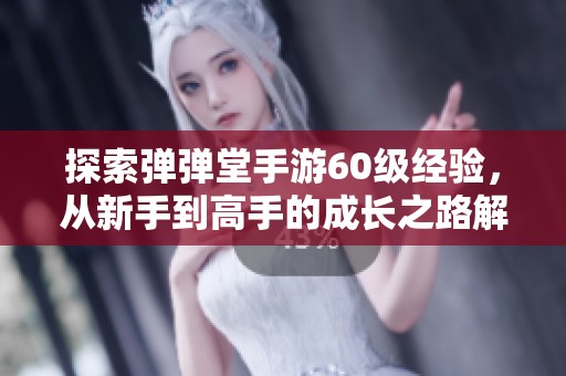 探索弹弹堂手游60级经验，从新手到高手的成长之路解析