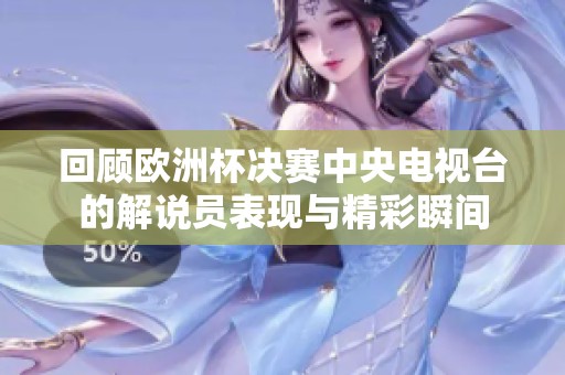 回顾欧洲杯决赛中央电视台的解说员表现与精彩瞬间