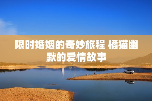 限时婚姻的奇妙旅程 橘猫幽默的爱情故事