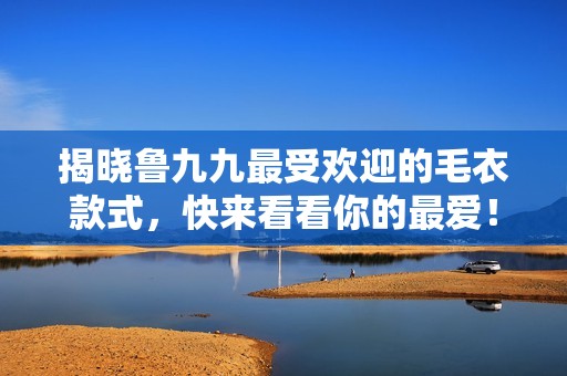 揭晓鲁九九最受欢迎的毛衣款式，快来看看你的最爱！