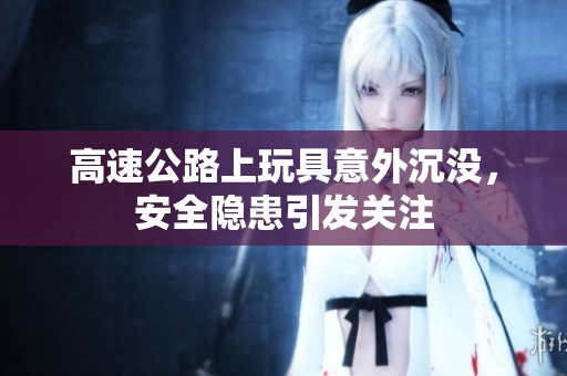 高速公路上玩具意外沉没，安全隐患引发关注