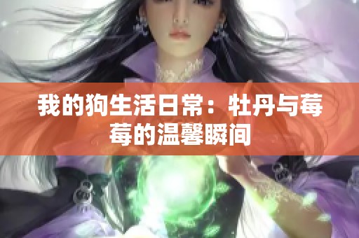 我的狗生活日常：牡丹与莓莓的温馨瞬间