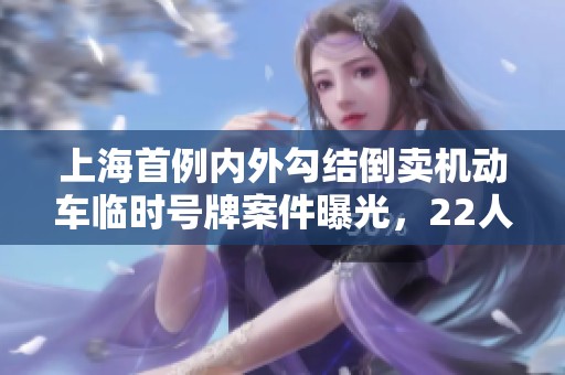 上海首例内外勾结倒卖机动车临时号牌案件曝光，22人被抓获