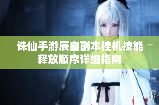 诛仙手游辰皇副本挂机技能释放顺序详细指南