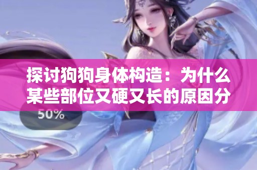 探讨狗狗身体构造：为什么某些部位又硬又长的原因分析