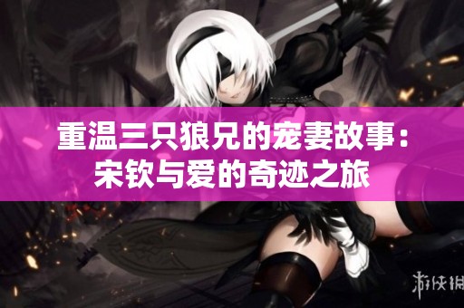 重温三只狼兄的宠妻故事：宋钦与爱的奇迹之旅