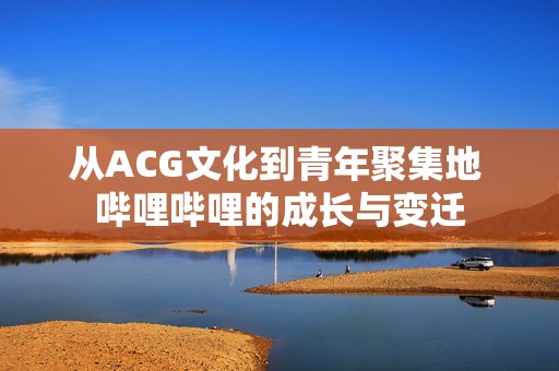 从ACG文化到青年聚集地 哔哩哔哩的成长与变迁