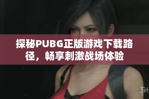 探秘PUBG正版游戏下载路径，畅享刺激战场体验