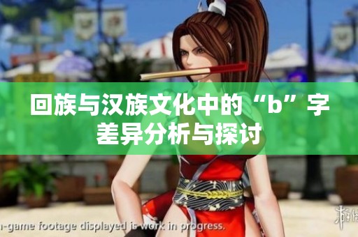回族与汉族文化中的“b”字差异分析与探讨