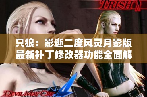 只狼：影逝二度风灵月影版最新补丁修改器功能全面解析
