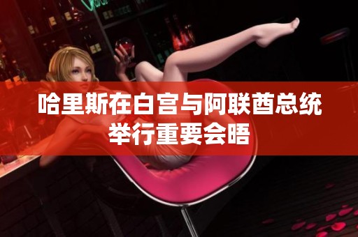 哈里斯在白宫与阿联酋总统举行重要会晤