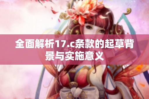 全面解析17.c条款的起草背景与实施意义