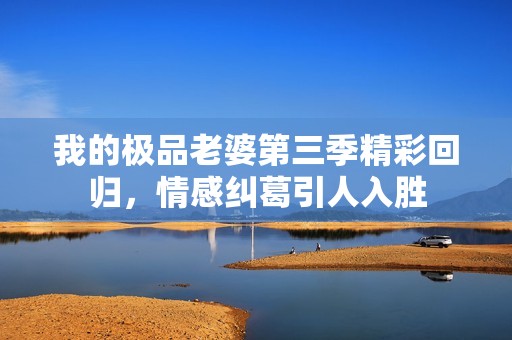 我的极品老婆第三季精彩回归，情感纠葛引人入胜