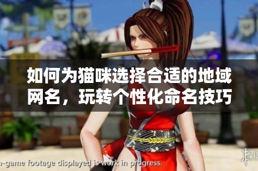 如何为猫咪选择合适的地域网名，玩转个性化命名技巧