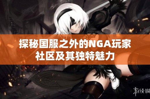 探秘国服之外的NGA玩家社区及其独特魅力