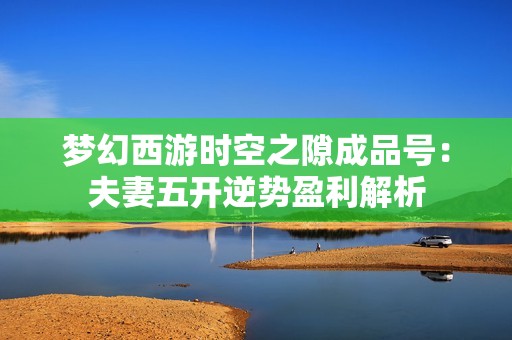 梦幻西游时空之隙成品号：夫妻五开逆势盈利解析