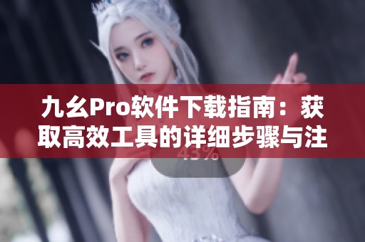 九幺Pro软件下载指南：获取高效工具的详细步骤与注意事项