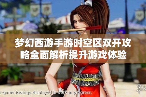 梦幻西游手游时空区双开攻略全面解析提升游戏体验