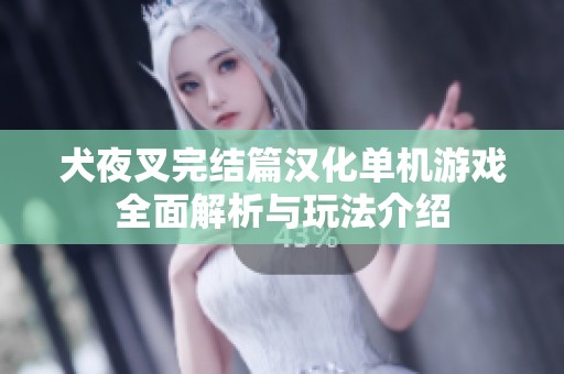 犬夜叉完结篇汉化单机游戏全面解析与玩法介绍
