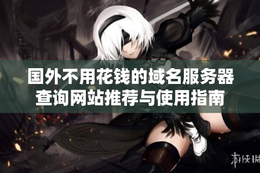 国外不用花钱的域名服务器查询网站推荐与使用指南