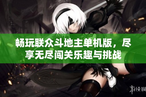 畅玩联众斗地主单机版，尽享无尽闯关乐趣与挑战