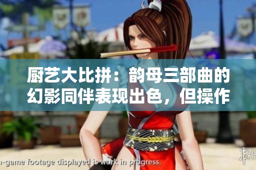 厨艺大比拼：韵母三部曲的幻影同伴表现出色，但操作手感却令人失望！