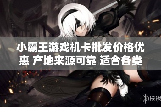 小霸王游戏机卡批发价格优惠 产地来源可靠 适合各类游戏爱好者选购