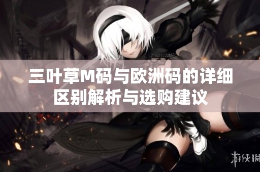 三叶草M码与欧洲码的详细区别解析与选购建议