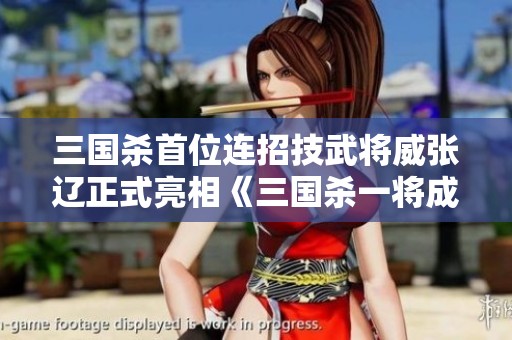 三国杀首位连招技武将威张辽正式亮相《三国杀一将成名》年度全新篇章
