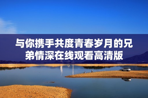 与你携手共度青春岁月的兄弟情深在线观看高清版