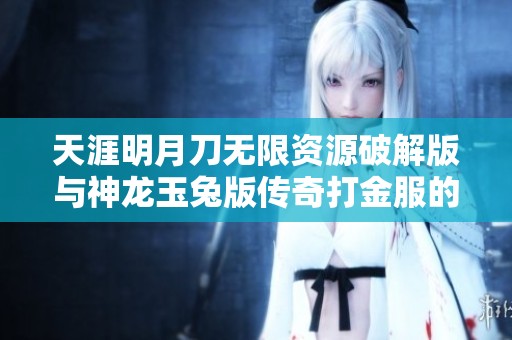 天涯明月刀无限资源破解版与神龙玉兔版传奇打金服的全面对比与分析
