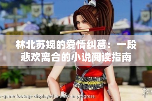 林北苏婉的爱情纠葛：一段悲欢离合的小说阅读指南