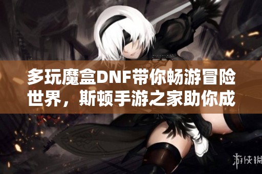 多玩魔盒DNF带你畅游冒险世界，斯顿手游之家助你成为高手玩家的必备工具