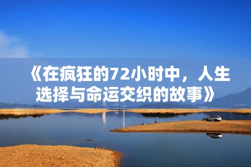 《在疯狂的72小时中，人生选择与命运交织的故事》
